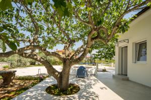 a tree in the courtyard of a house at Villa Skrila in Fažana