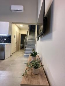 a hallway with stairs and a stair case with potted plants at Bianco Mare Studios-Apartments in Kalivia Poligirou