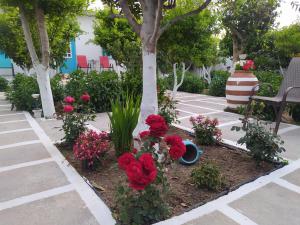 a flower garden with red flowers and a bench at PERIVOLI 1-CHORA(5min away from the center by car) in Agkidia