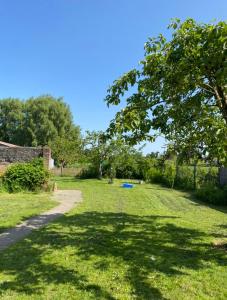 a yard with a tree and a path at La Ferme in Ascq