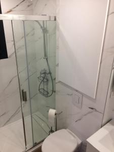 a bathroom with a shower and a toilet at Appart 2 pièces indépendant dans villa proche centre ville au calme in Mandelieu-la-Napoule