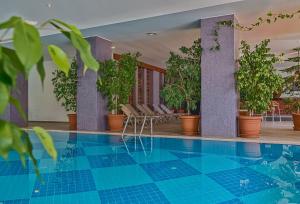 Bazén v ubytování Grand Pasa Hotel nebo v jeho okolí