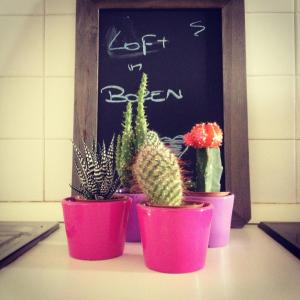 four plants in pink pots on a table with a chalkboard at Loft l'Alessandra in Bolzano