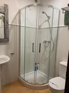 um chuveiro na casa de banho com um WC e um lavatório em Buhardilla Rústica Mirando a Santa Catalina em Jerez de los Caballeros