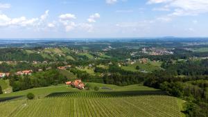 Fotografie z fotogalerie ubytování Schilcherland Studio v destinaci Greisdorf