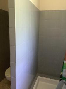 a bathroom with a shower with a toilet at la dolce farniente in Biaudos