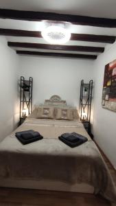 Postel nebo postele na pokoji v ubytování Apartament Picasso