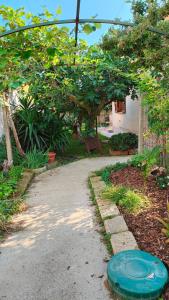 a green frisbee on the ground in a yard at GreenHouse_Anzio in Anzio