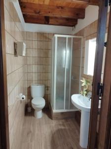 een badkamer met een toilet, een douche en een wastafel bij Casa Enry in Alcalá de la Selva