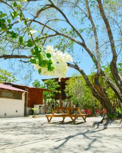 Zahrada ubytování Skycamp Camping Holbox