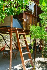 Zahrada ubytování Skycamp Camping Holbox