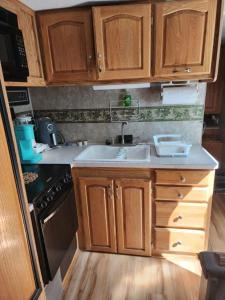 een kleine keuken met houten kasten en een wastafel bij Lakeshore Glamping Camping 239 in Portage