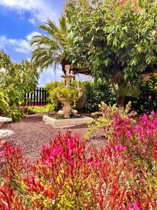 um jardim com flores cor-de-rosa e uma fonte em Villa La Victoria em Tegueste