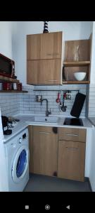 eine Küche mit einer Spüle und einer Waschmaschine in der Unterkunft San Francesco Rooms and Apartment with Terrace in Palermo in Palermo