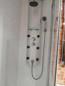 a shower with a shower head in a bathroom at Amplio apartamento con jardín y piscina Herbasabina 5 in Pla de l'Ermita
