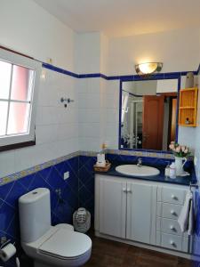 a bathroom with a toilet and a sink and a mirror at Villa La Victoria in Tegueste