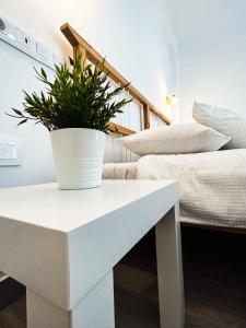 ein weißer Tisch mit einer Pflanze neben einem Bett in der Unterkunft Casa La Laja in San Juan de la Rambla