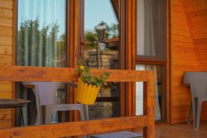 Eine Pflanze in einem gelben Topf auf der Stuhllehne in der Unterkunft Mtskheta Cabin in Mzcheta