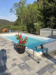 a potted plant sitting next to a swimming pool at Ilkova Sadyba in Yaremche