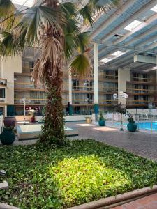 una palmera en medio de un edificio en The Lodge Hotel and Banquets, en Bridgeton