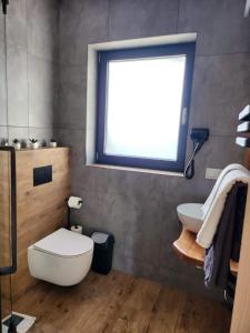 bagno con servizi igienici, lavandino e finestra di Domek Pod Laskiem a Czerwienne