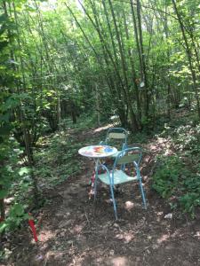 a table and a chair sitting in the woods at StarsBox CasaSilvana in Alba
