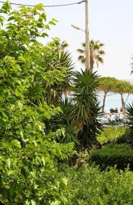 un grupo de árboles y arbustos con luz de calle en Blue Summer Vibes - Studio duplex 3 - AC, parking, beach at 50m, SPA discnt, en La Ciotat