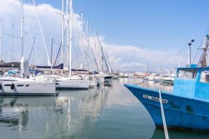 a bunch of boats docked in a harbor at Grand Studio 38m2 vue Mer et Parking ! in Hyères