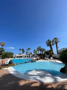 uma grande piscina com palmeiras ao fundo em Suite Poseidon Golf & Ocean View em San Miguel de Abona