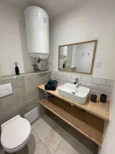索恩河畔沙隆的住宿－Le Roland-Garros，浴室配有白色卫生间和盥洗盆。
