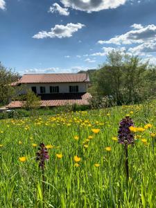 a field of flowers with a house in the background at Butterflies Rest in Gubbio
