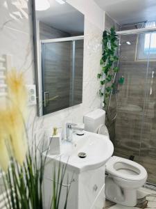 y baño con aseo, lavabo y ducha. en Luxor Apartament Sibiu en Sibiu
