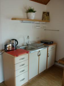 een keuken met een wastafel en een aanrecht bij Marigolds in Sigulda