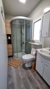ein Bad mit einer Dusche, einem WC und einem Waschbecken in der Unterkunft NOBLEJA Kolpa Metlika, BIG BERRY in Gradac