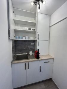 a kitchen with a sink and a refrigerator at Easy Living Apartments - Old Town in Braşov