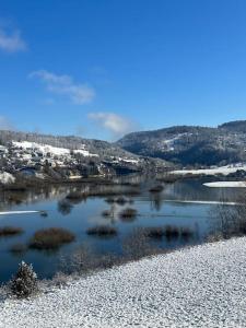 a body of water with grass in the middle at Bel appartement cosy proche de la frontière Suisse in Villers-le-Lac