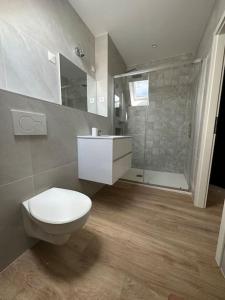 a bathroom with a white toilet and a shower at Bel appartement cosy proche de la frontière Suisse in Villers-le-Lac