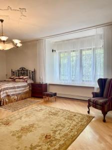 1 dormitorio con 1 cama, 1 silla y 1 ventana en Luxurious Oasis: Exquisite Apartment with Garden, Terrace, and Stylish Amenities en Kholodnovidka