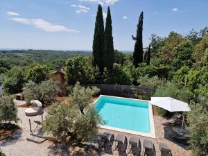a swimming pool in a garden with chairs and an umbrella at Il Panorama in Montescudaio