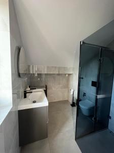 a bathroom with a sink and a shower and a toilet at Apartament Zośka in Ustroń