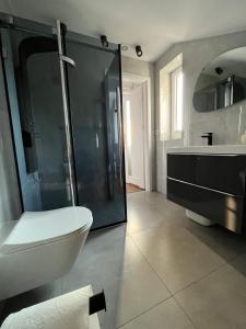 a bathroom with a shower and a toilet and a sink at Apartament Zośka in Ustroń