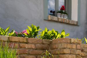 a brick retaining wall with flowers and a window at Zamatos Turbolya Kisház és Wellness in Pannonhalma