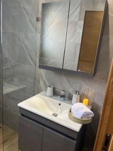 uma casa de banho com um lavatório e um chuveiro em Appartement avec piscine et 10 min plage em Hammamet Nord