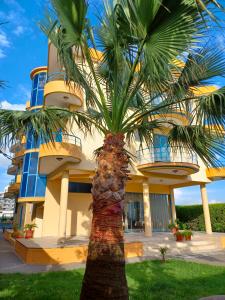 a palm tree in front of a building at Eleart in Golem