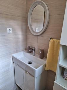 ein Badezimmer mit einem weißen Waschbecken und einem Spiegel in der Unterkunft Apartment Drazica in Opatija