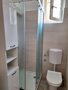 ein Bad mit einem WC und einer Glasdusche in der Unterkunft Apartment Drazica in Opatija