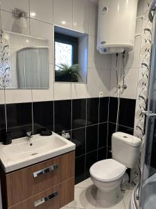 une salle de bain avec toilettes, lavabo et miroir dans l'établissement Domki i apartamenty Mila, à Sarbinowo
