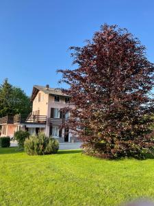 a large house with a tree in the yard at Cascina Del Galin in Lanzo dʼIntelvi +7 photos