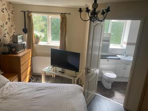 a bedroom with a bed and a television and a sink at LA Mansion in Wednesbury
