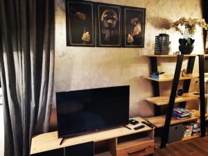 TV de pantalla plana sobre una mesa de madera en Apartment Novi Park Bulatovic, en Vrdnik
